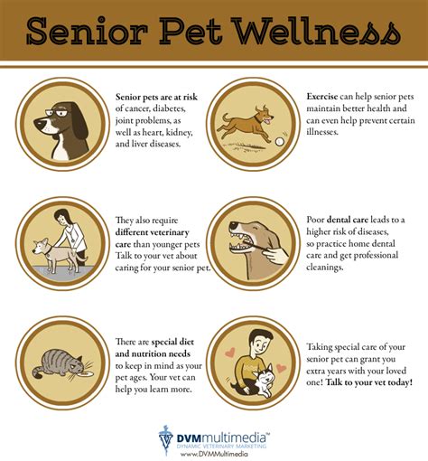 Senior Pet Care Tips | Pocopson Veterinary Station