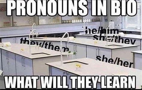 ‘Pronouns in Bio’ meme: what will we learn? | by Stu Hatton | Medium