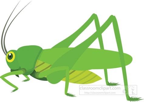 Insect Clipart-green grasshopper insect clipart