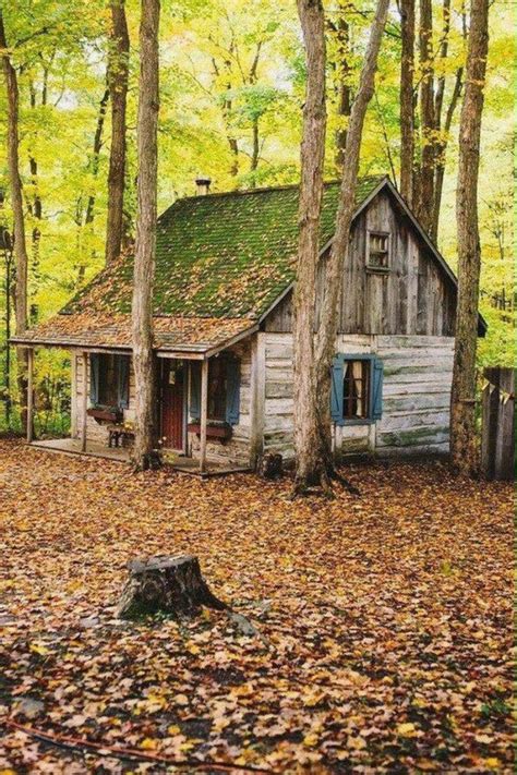 All Need is a Rustic Little Cabin in the Woods (28 Photos) – Suburban Men