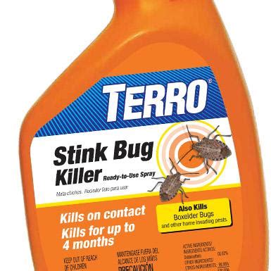 Amazon.com : TERRO 3600 32 oz. Stink Bug Killer Ready-to-Use Spray ...