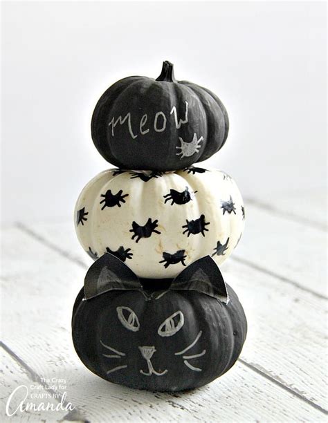 Black Cat Pumpkins - no carve pumpkins for cat lovers