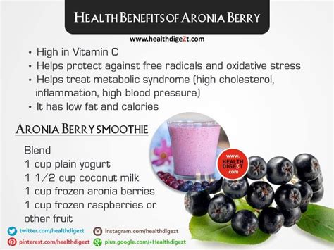 Health Benefits of Aronia Berry Get your Organic Aronia Berry here ...