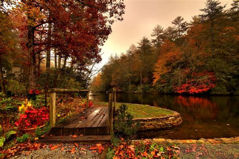 forest, River, Autumn, Bridge Wallpapers HD / Desktop and Mobile ...