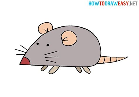 How to Draw a Rat for Kids | Easy drawings, Mouse drawing, Easy animal ...