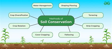 Soil Conservation- Methods and Importance - GeeksforGeeks