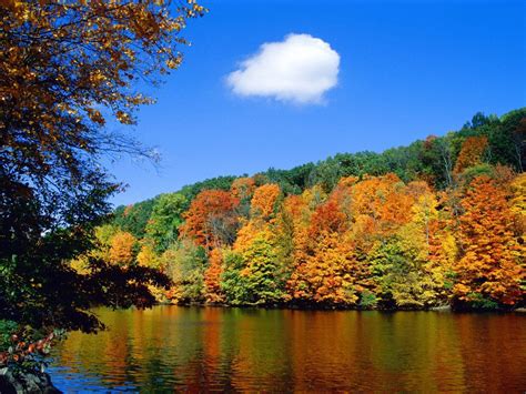 Free Autumn Desktop Wallpaper Backgrounds - Wallpaper Cave