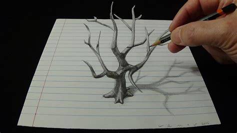 Art 3d Drawing - How To Draw An Old Tree In 3d With Pencil - YouTube