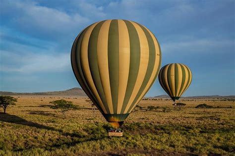 Did you know that you can a luxury Balloon safari is a perfect way to ...