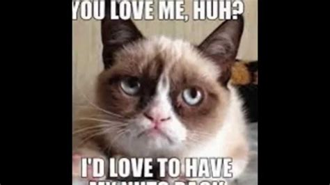 Kitten Funny Cat Memes Clean / Find the Stunning Funny Clean Grumpy Cat ...