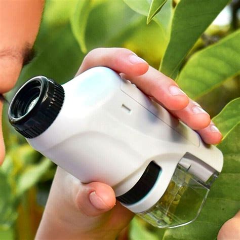 The Best Handheld Microscope For Science Enthusiasts!