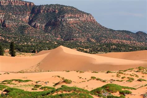 Coral Pink Sand Dunes – Utah State Route 43 - TWO UP RIDERS