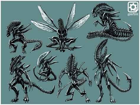 Aliens Colonial Marines Xenomorph Types