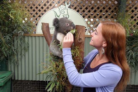 Visiting Featherdale Wildlife Park near Sydney: Worth it or Not?