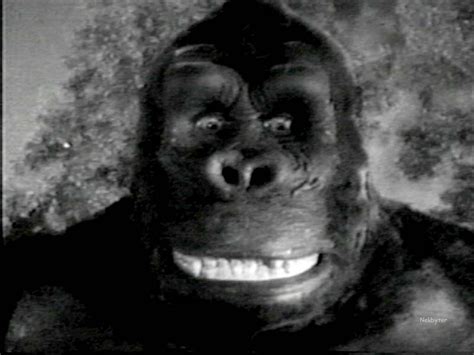 Brainfart Thoughts: King Kong