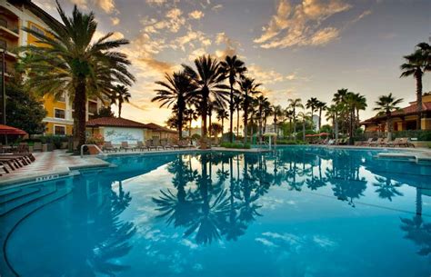 Top 15 pet-friendly hotels in Orlando 2021 - GlobalGrasshopper