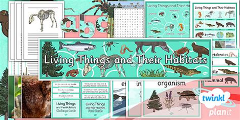 Science: Living Things and Their Habitats Year 4 Additional Resources