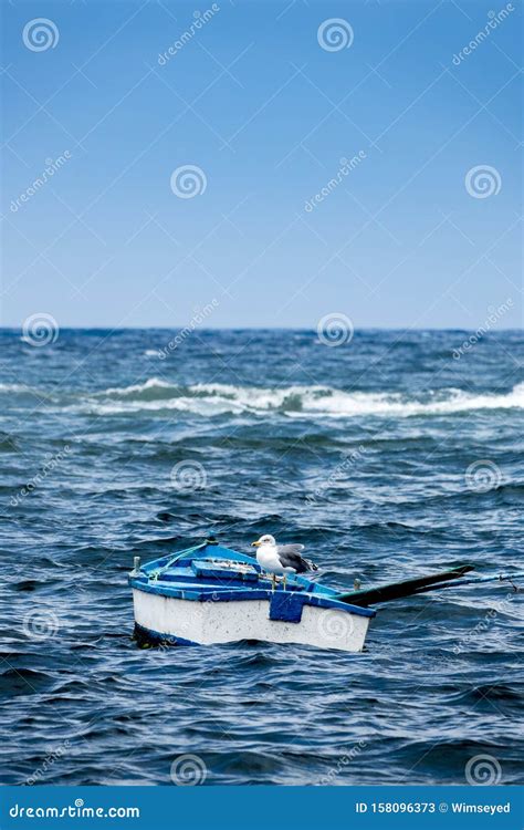 Seagull on a Fishermans Boat Stock Image - Image of wave, sitting ...