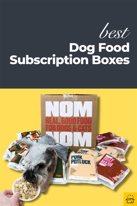 The 18 Best Dog Food Subscriptions in 2023: Customized Dog Meals ...