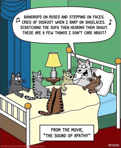 Funny Cat Cartoons With Captions - Cat Mania