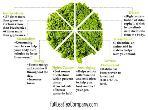 Everything You Need To Know About Matcha | Full Leaf Tea Company