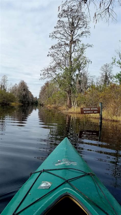 Okefenokee swamp – A young naturalist