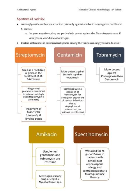 Protein Synthesis Inhibitors Antibiotics