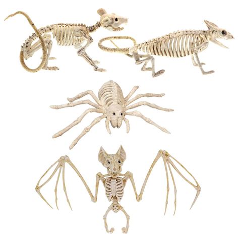 Buy Halloween Animal Skeletons 4 Pack Skeleton Animal Yard Decor and ...