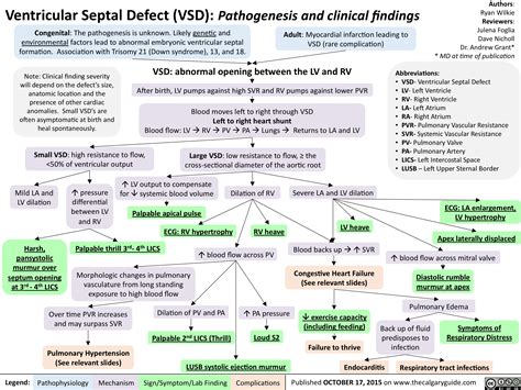 Ventricular Septal Defect (VSD): Pathogenesis and clinical findings ...