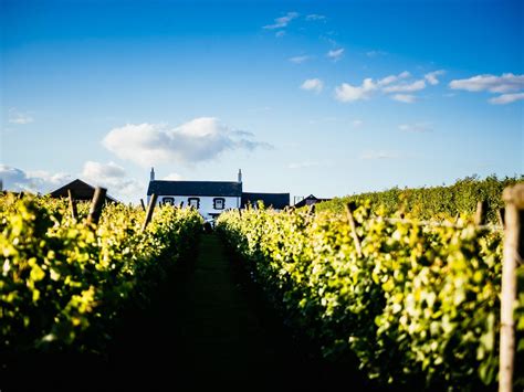 Llanerch Vineyard Hotel | VisitWales