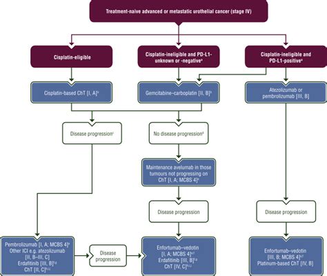 Bladder cancer: ESMO Clinical Practice Guideline for diagnosis ...