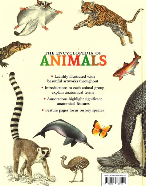 The Encyclopedia Of Animals - BookXcess Online