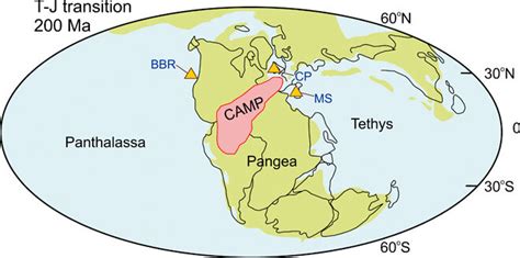 Study of ancient rocks suggests oxygen depletion in oceans led to end ...