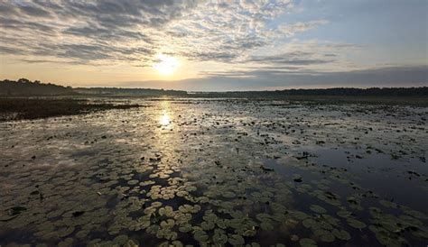 Crews Lake- Shady Hills Florida | Phone cammed with the Goog… | Flickr