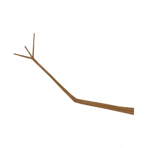 a wooden stick with two branches sticking out of it