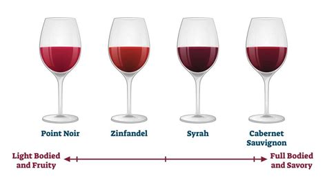 Discover the Different Types of Red Wine - Beer & Wine Guide