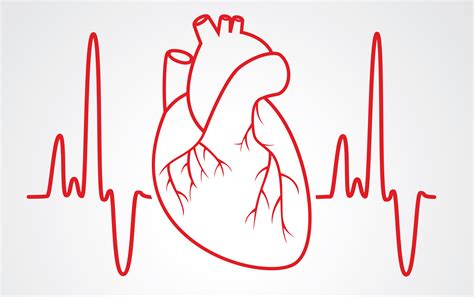 The Electrocardiogram explained - What is an ECG?