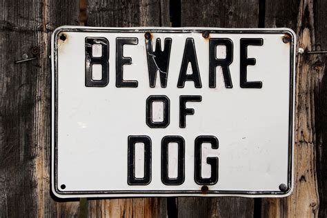 Beware Of Dog Printable Sign