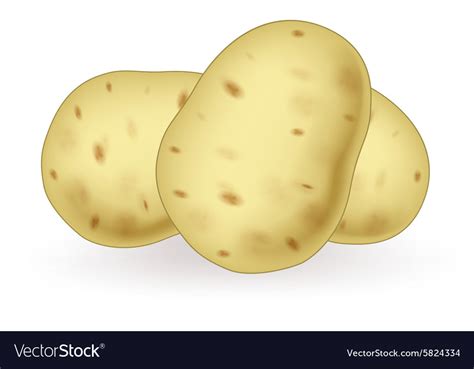 Cartoon potato Royalty Free Vector Image - VectorStock