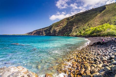 Captain Cook Snorkeling Tours at Kealakekua Bay