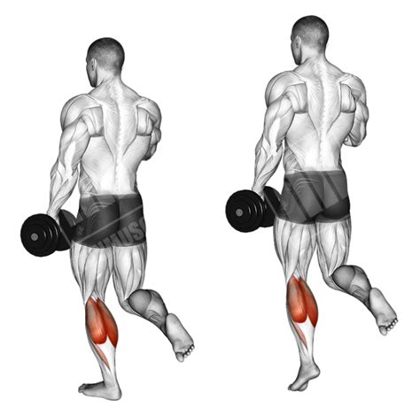 Calves Priority Workout - Meanmuscles