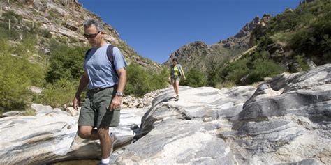 Sabino Canyon | Visit Arizona