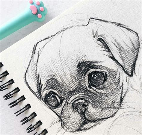 Easy draw cute animals - washingtongola