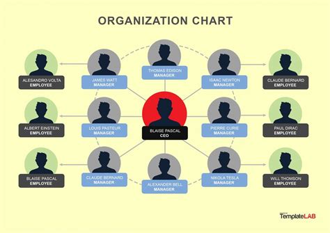 41 Organizational Chart Templates (Word, Excel, PowerPoint, PSD)