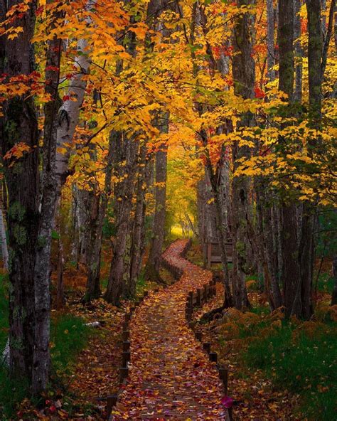 Acadia National Park | Fall pictures nature, Autumn scenery, Maine ...