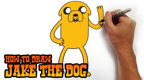 How to Draw Jake the Dog - Adventure Time- Video Lesson - YouTube