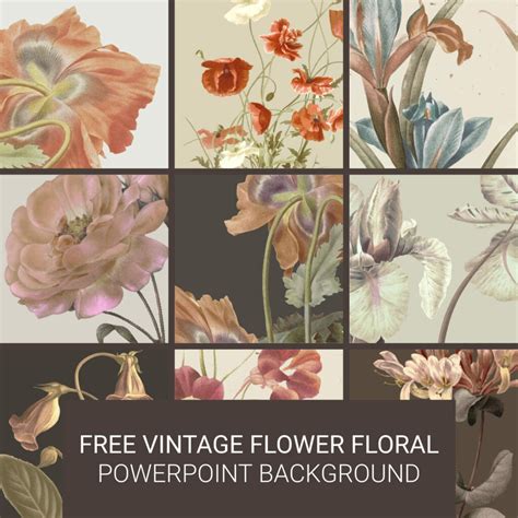 Free Vintage Flower Floral Powerpoint Background – MasterBundles