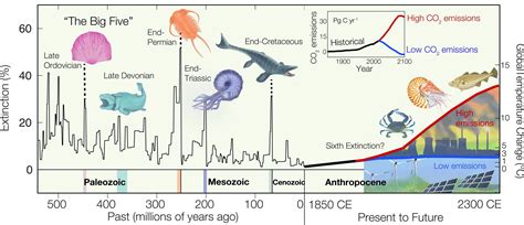 Unchecked Global Emissions on Course To Trigger Mass Extinction of ...