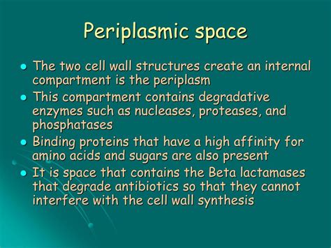 PPT - Prokaryote Cell Structure and Function PowerPoint Presentation ...