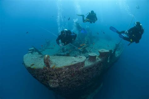 Diving In The Red Sea - Adventure Tour Guide